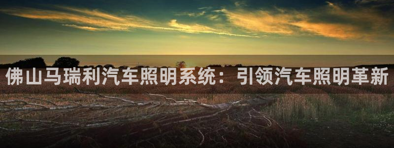 佛山马瑞利汽车照明系统：引领汽车照明革新