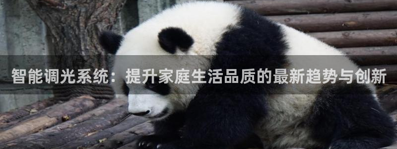 智能调光系统：提升家庭生活品质的最新趋势与创新