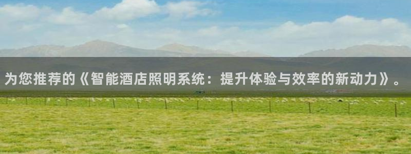 为您推荐的《智能酒店照明系统：提升体验与效率的新动力》。