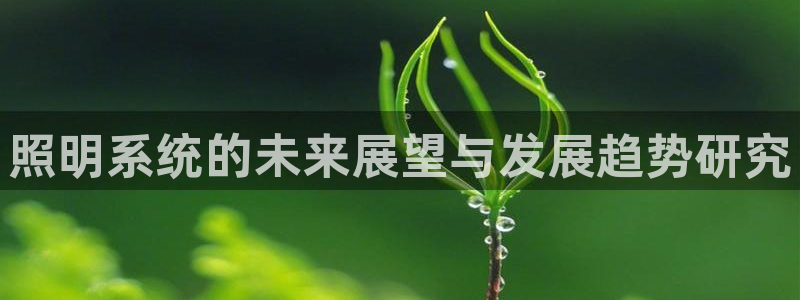 照明系统的未来展望与发展趋势研究