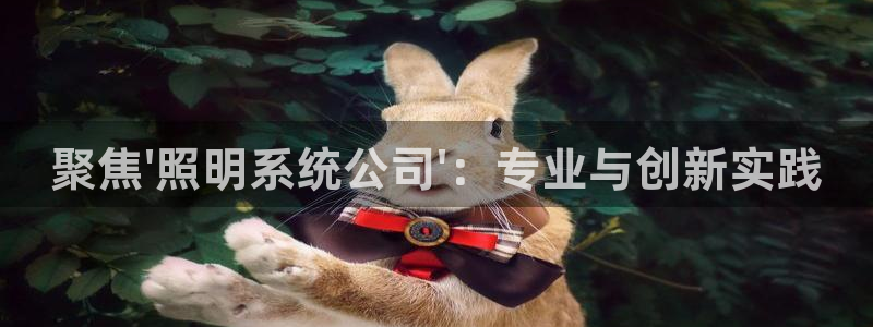 聚焦\'照明系统公司\'：专业与创新实践