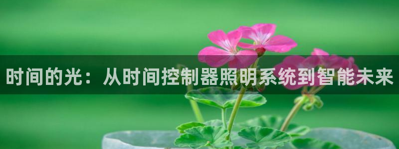 时间的光：从时间控制器照明系统到智能未来