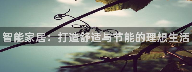 智能家居：打造舒适与节能的理想生活