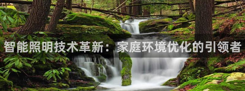 智能照明技术革新：家庭环境优化的引领者