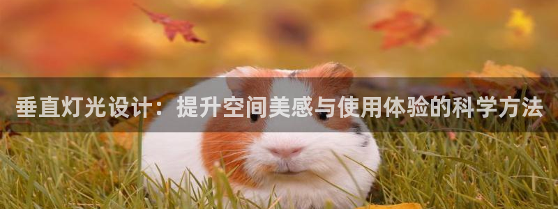 垂直灯光设计：提升空间美感与使用体验的科学方法