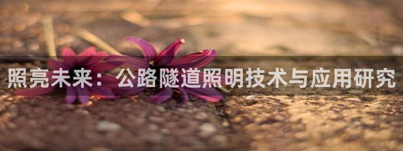 照亮未来：公路隧道照明技术与应用研究