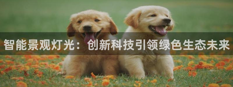 智能景观灯光：创新科技引领绿色生态未来