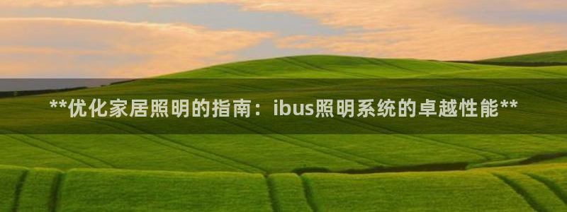 **优化家居照明的指南：ibus照明系统的卓越性能**
