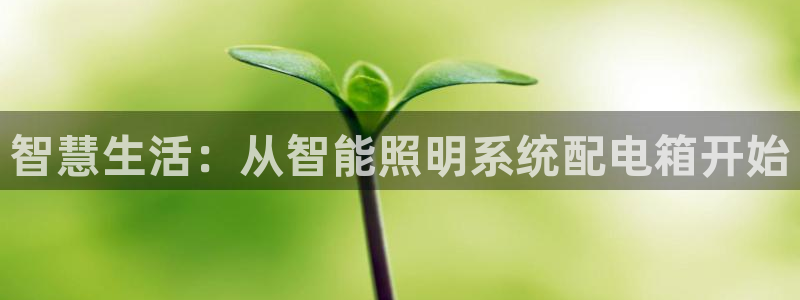 智慧生活：从智能照明系统配电箱开始