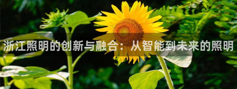 浙江照明的创新与融合：从智能到未来的照明