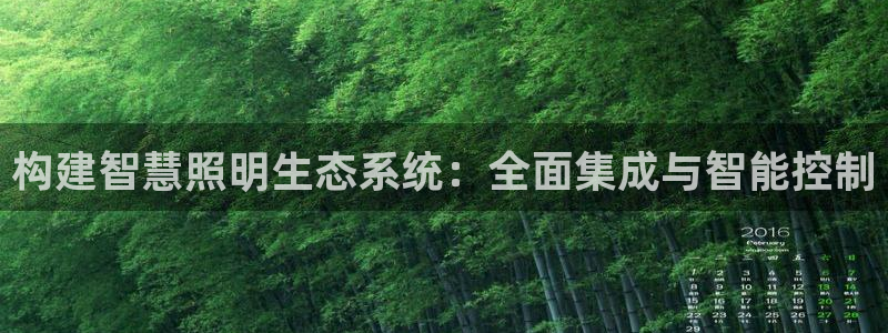 构建智慧照明生态系统：全面集成与智能控制