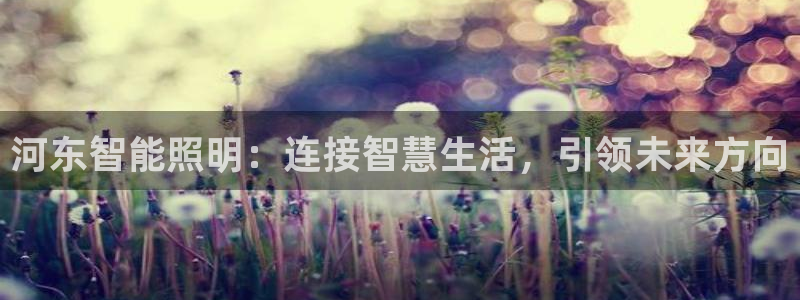 河东智能照明：连接智慧生活，引领未来方向