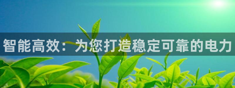 智能高效：为您打造稳定可靠的电力