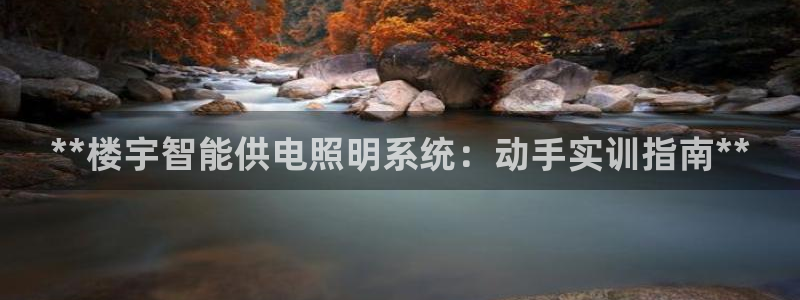 **楼宇智能供电照明系统：动手实训指南*