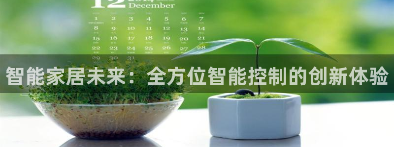 智能家居未来：全方位智能控制的创新体验